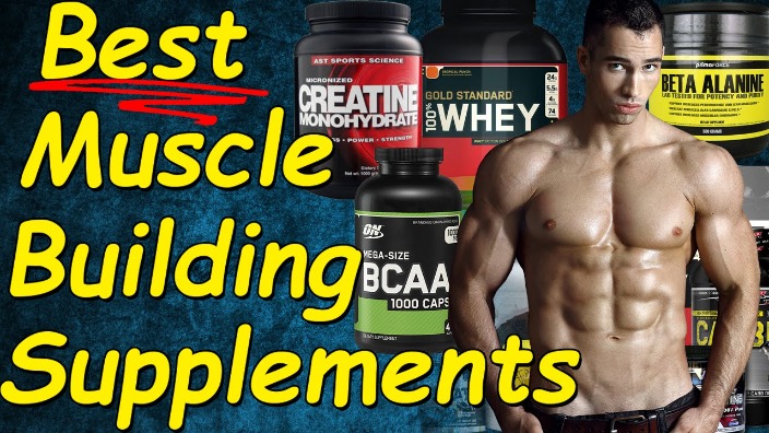 Top 5 Training Dietary Supplements For Beginners